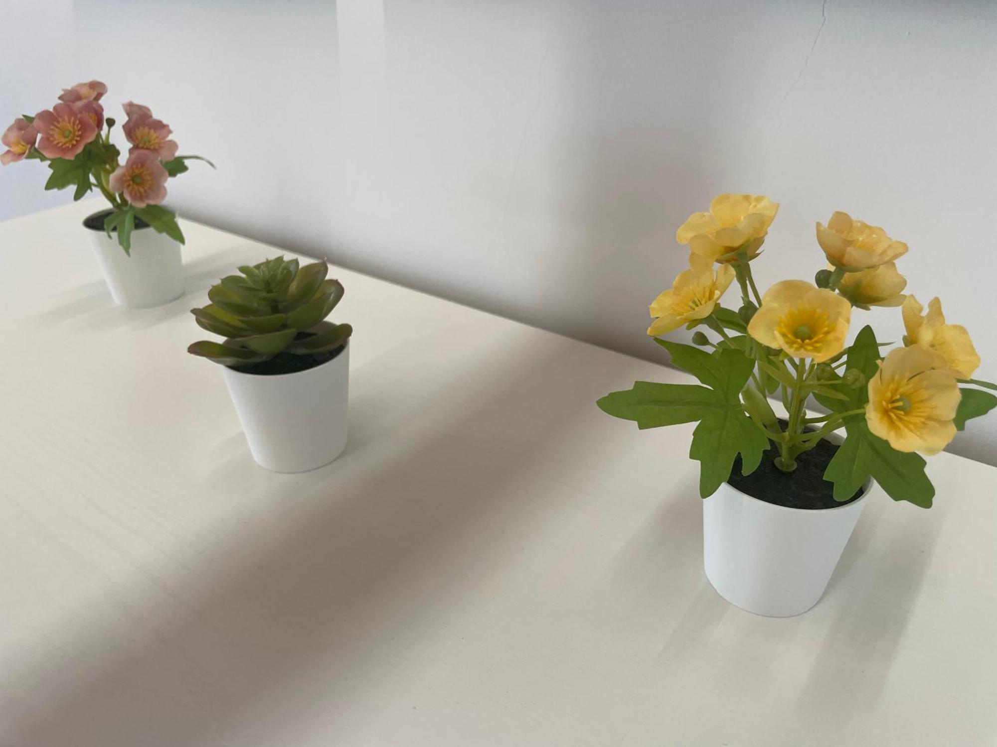 Annabella'S Home 阿格罗波利 外观 照片